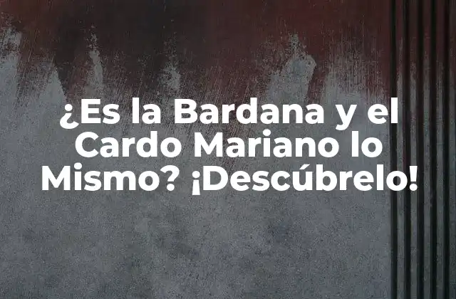 ¿es la Bardana y el Cardo Mariano Lo Mismo? ¡descúbrelo!