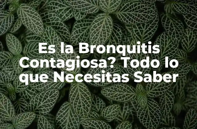 Es la Bronquitis Contagiosa? Todo Lo que Necesitas Saber