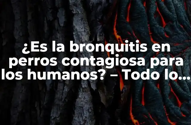 ¿es la Bronquitis en Perros Contagiosa para los Humanos? – Todo Lo que Necesitas Saber
