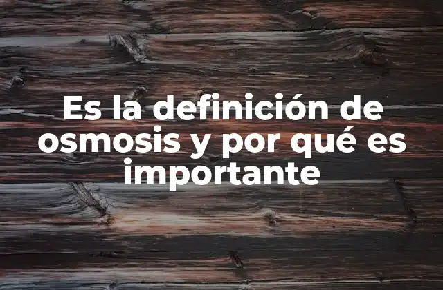 Es la Definición de Osmosis y por Qué es Importante