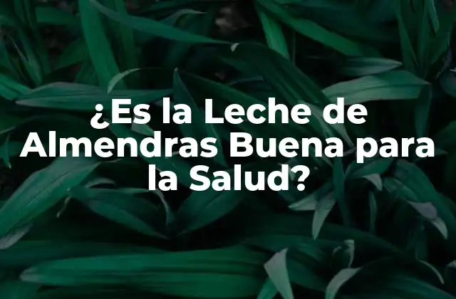 ¿es la Leche de Almendras Buena para la Salud?