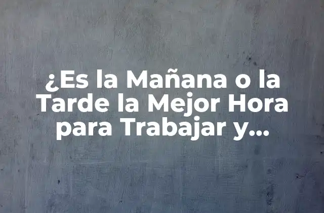 ¿es la Mañana o la Tarde la Mejor Hora para Trabajar y Estudiar?