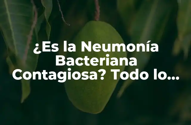 ¿es la Neumonía Bacteriana Contagiosa? Todo Lo que Necesitas Saber