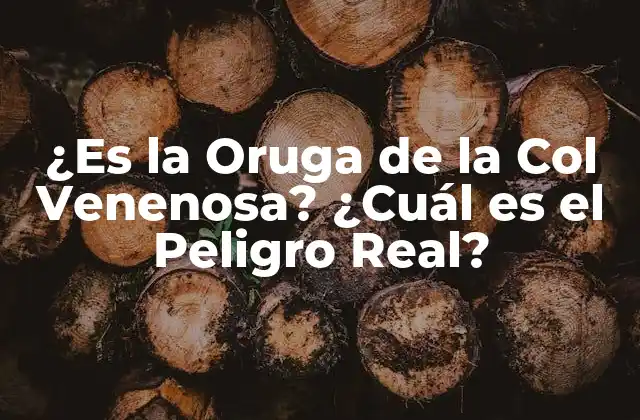 ¿es la Oruga de la Col Venenosa? ¿cuál es el Peligro Real?