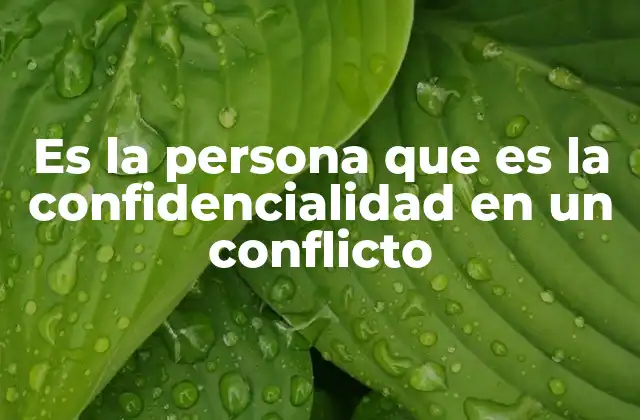 Es la Persona que es la Confidencialidad en un Conflicto