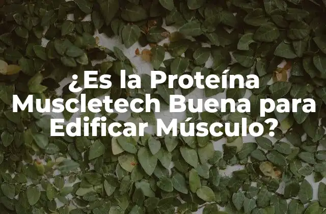 ¿es la Proteína Muscletech Buena para Edificar Músculo?