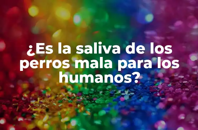 ¿es la Saliva de los Perros Mala para los Humanos?