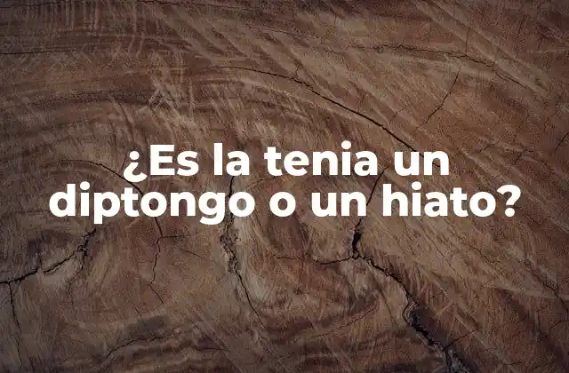 ¿es la Tenia un Diptongo o un Hiato?