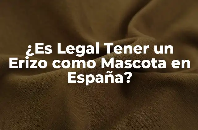 ¿es Legal Tener un Erizo como Mascota en España?