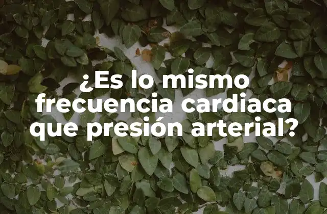 ¿es Lo Mismo Frecuencia Cardiaca que Presión Arterial?