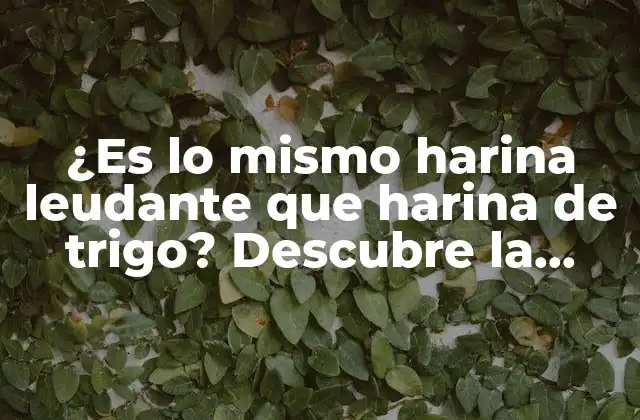 ¿es Lo Mismo Harina Leudante que Harina de Trigo? Descubre la Verdad