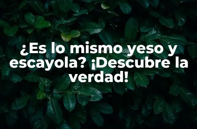 ¿es Lo Mismo Yeso y Escayola? ¡descubre la Verdad!