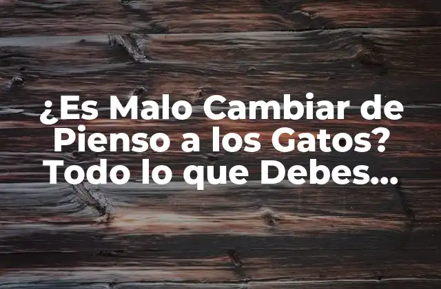 ¿es Malo Cambiar de Pienso a los Gatos? Todo Lo que Debes Saber