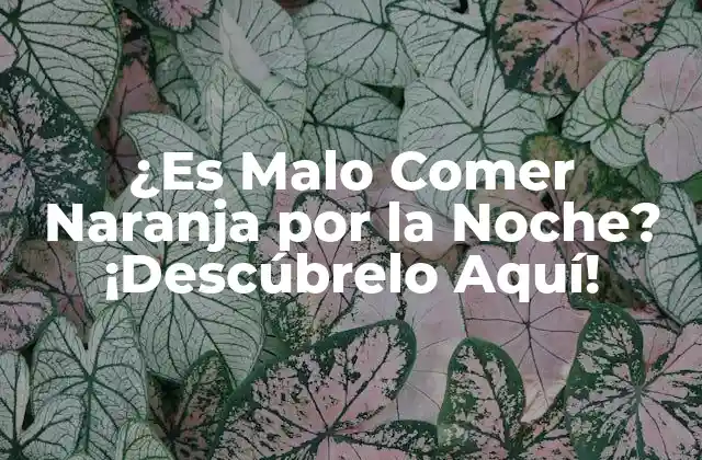¿es Malo Comer Naranja por la Noche? ¡descúbrelo Aquí!