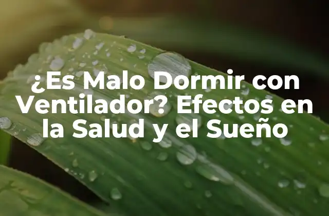 ¿es Malo Dormir con Ventilador? Efectos en la Salud y el Sueño