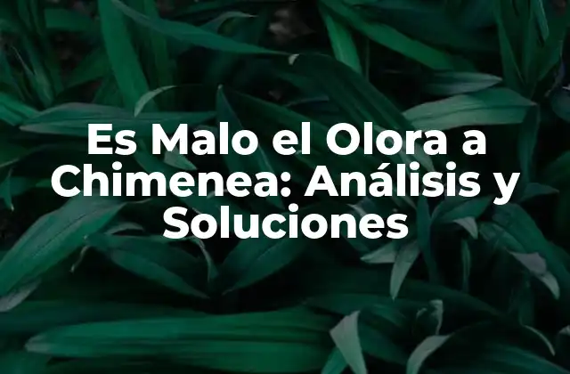 Es Malo el Olora a Chimenea: Análisis y Soluciones