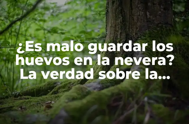 ¿es Malo Guardar los Huevos en la Nevera? la Verdad sobre la Refrigeración de Huevos