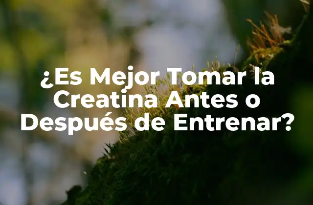 ¿es Mejor Tomar la Creatina Antes o Después de Entrenar?