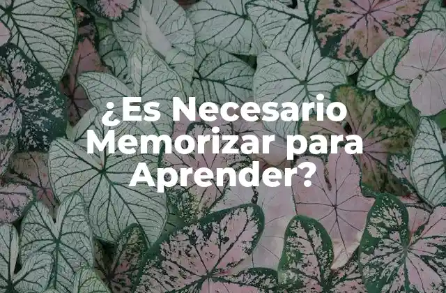 ¿es Necesario Memorizar para Aprender?