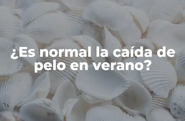 ¿es Normal la Caída de Pelo en Verano? 2 Causas de la caída de pelo en verano