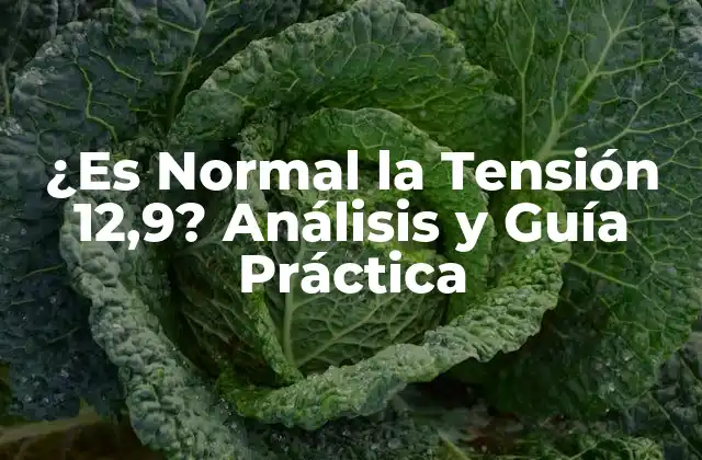 ¿es Normal la Tensión 12,9? Análisis y Guía Práctica