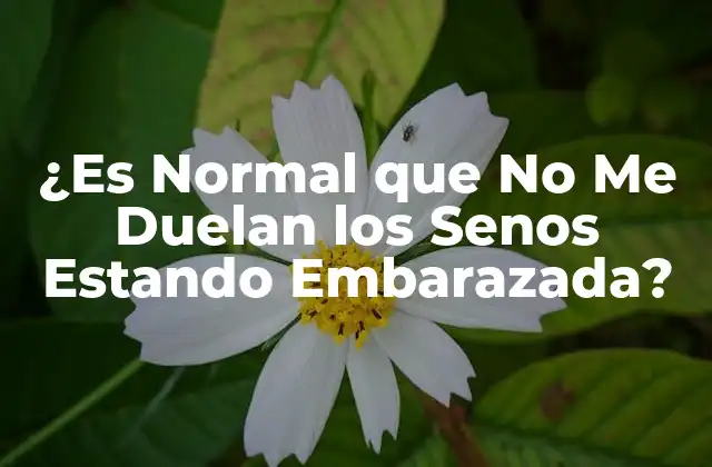 ¿es Normal que No Me Duelan los Senos Estando Embarazada? 2 Cambios Hormonales y su Efecto en los Senos