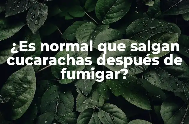 ¿es Normal que Salgan Cucarachas Después de Fumigar?