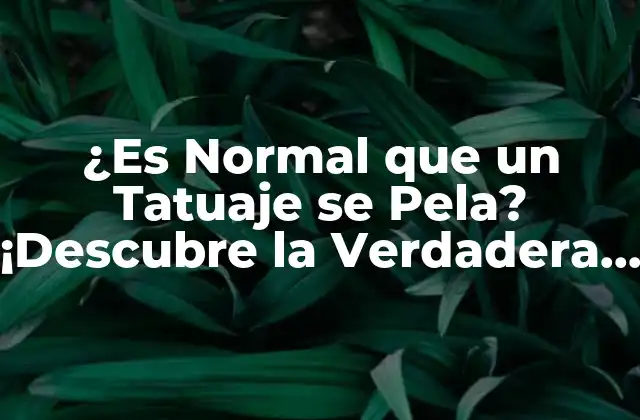 ¿es Normal que un Tatuaje Se Pela? ¡descubre la Verdadera Respuesta!