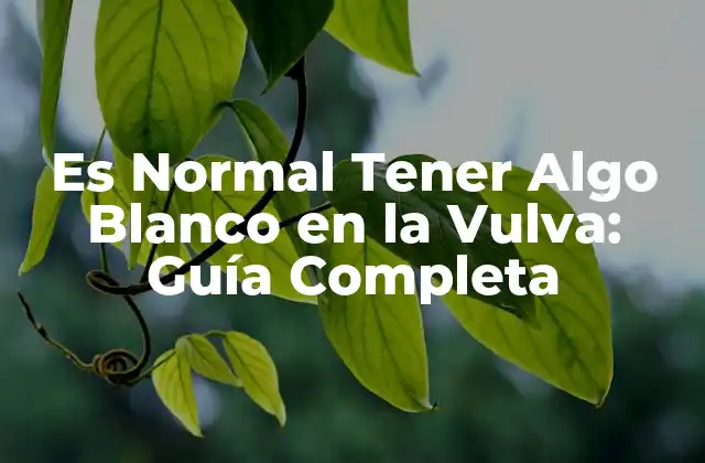 Es Normal Tener Algo Blanco en la Vulva: Guía Completa