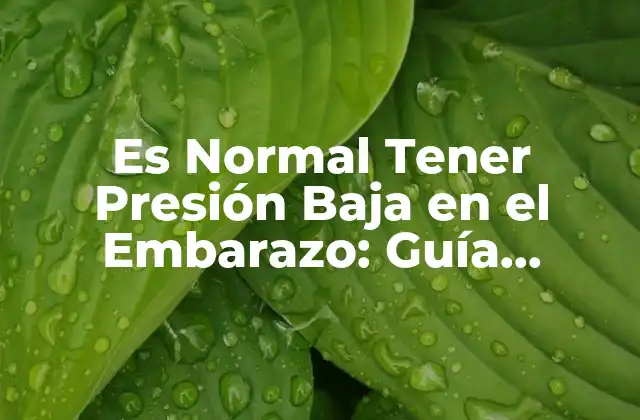 Es Normal Tener Presión Baja en el Embarazo: Guía Completa