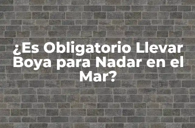 ¿es Obligatorio Llevar Boya para Nadar en el Mar?