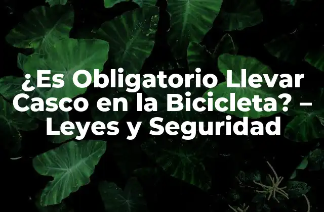 ¿es Obligatorio Llevar Casco en la Bicicleta? – Leyes y Seguridad