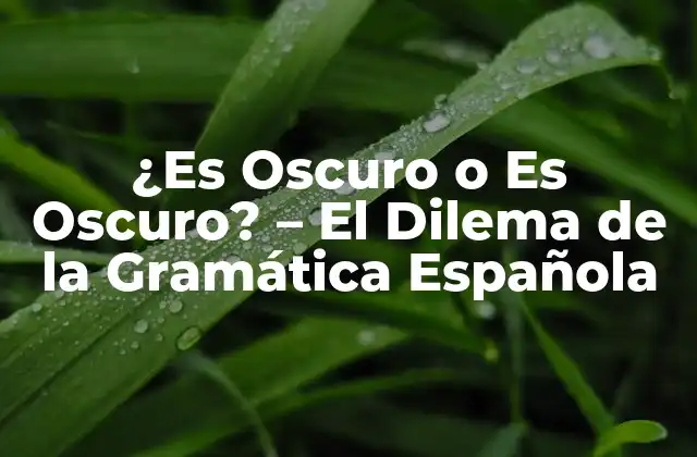 ¿es Oscuro o es Oscuro? – el Dilema de la Gramática Española
