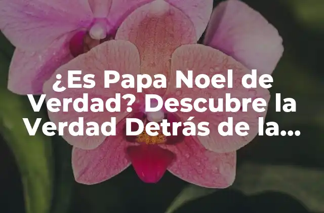 ¿es Papa Noel de Verdad? Descubre la Verdad Detrás de la Leyenda