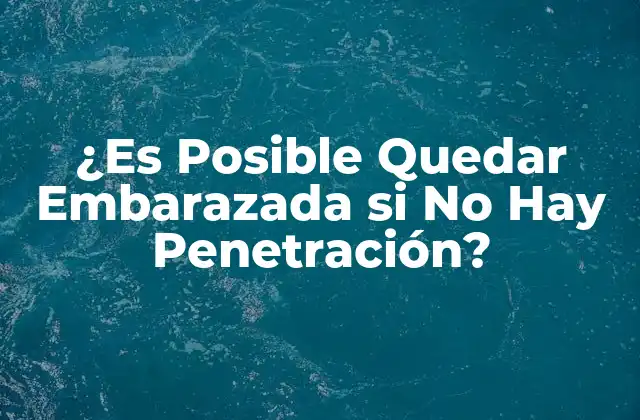 ¿es Posible Quedar Embarazada Si No Hay Penetración? 2 ¿Cómo Ocurre el Embarazo?