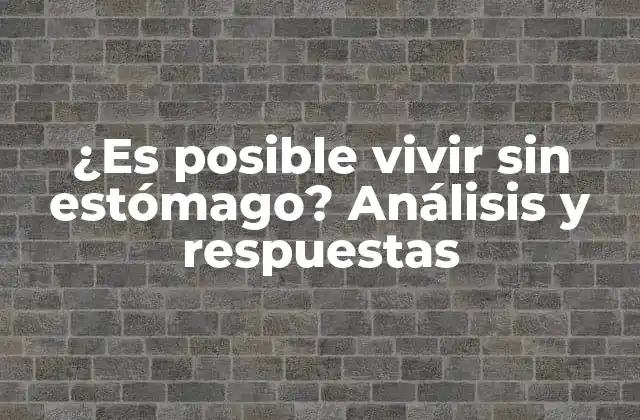 ¿Cuál es el papel del estómago en la digestión?
