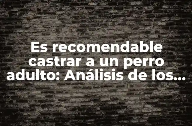 Es Recomendable Castrar a un Perro Adulto: Análisis de los Pros y los Contras