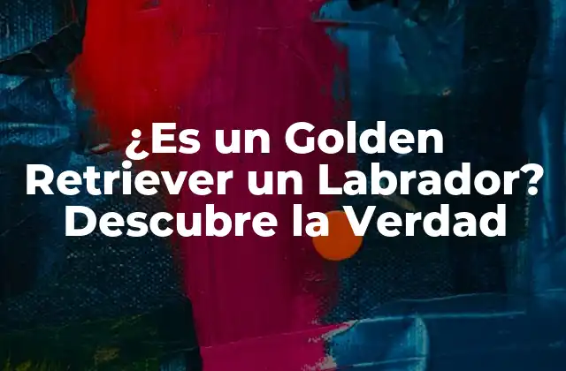 ¿es un Golden Retriever un Labrador? Descubre la Verdad
