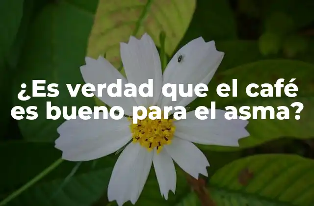 ¿es Verdad que el Café es Bueno para el Asma? 2 ¿Qué es el asma y cómo funciona?