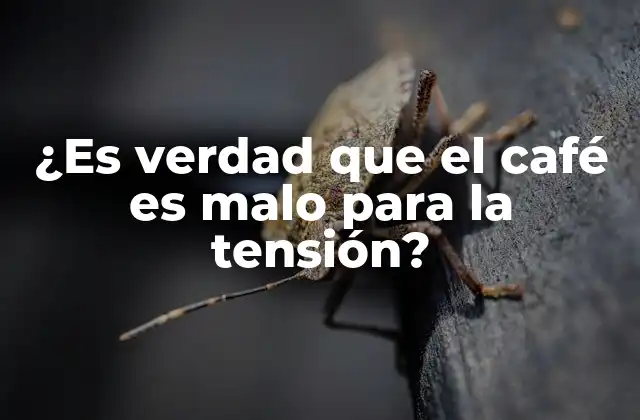 ¿es Verdad que el Café es Malo para la Tensión? 2 La cafeína y su efecto en la tensión arterial