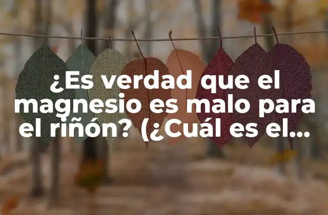 ¿es Verdad que el Magnesio es Malo para el Riñón? (¿cuál es el Impacto Del Magnesio en la Salud Renal?)