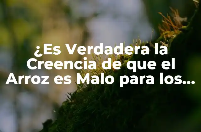 ¿es Verdadera la Creencia de que el Arroz es Malo para los Perros?