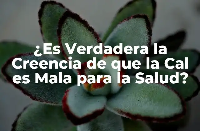 ¿es Verdadera la Creencia de que la Cal es Mala para la Salud?