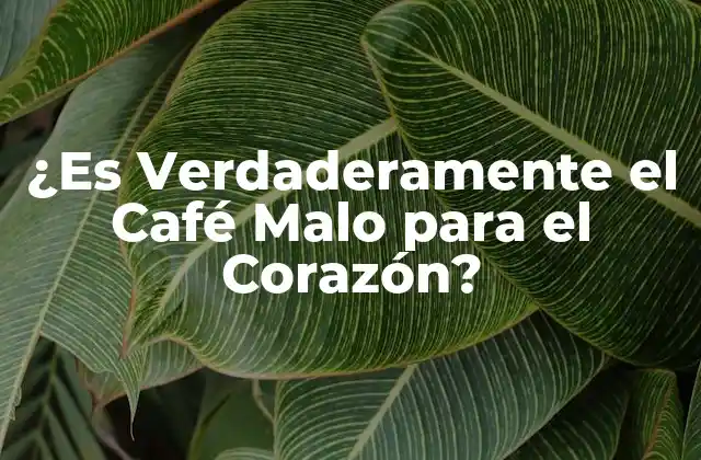 ¿es Verdaderamente el Café Malo para el Corazón?