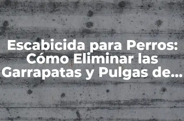 Escabicida para Perros: Cómo Eliminar las Garrapatas y Pulgas de Tu Mascota