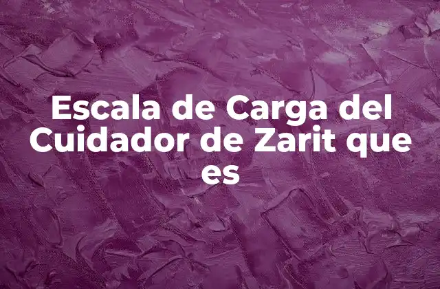 Escala de Carga Del Cuidador de Zarit que es