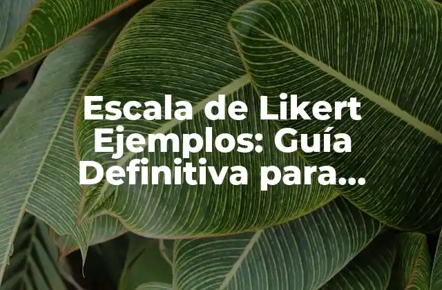 Escala de Likert Ejemplos: Guía Definitiva para Entender y Aplicar