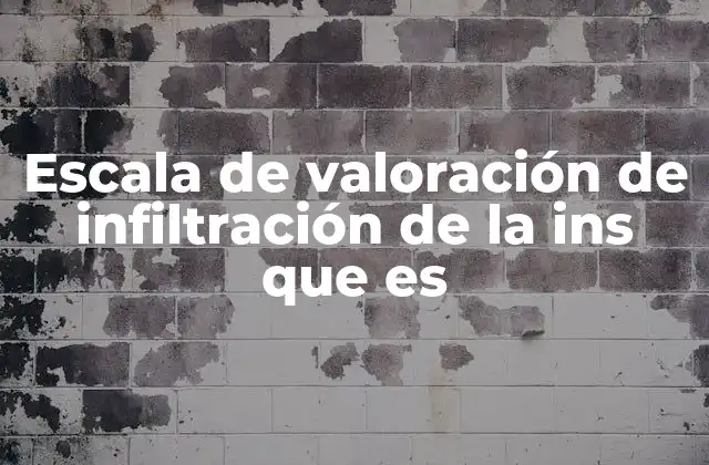 Escala de Valoración de Infiltración de la Ins que es