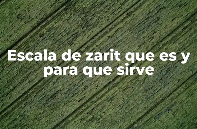 Escala de Zarit que es y para que Sirve