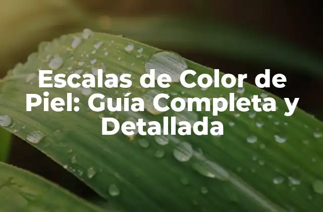 Escalas de Color de Piel: Guía Completa y Detallada